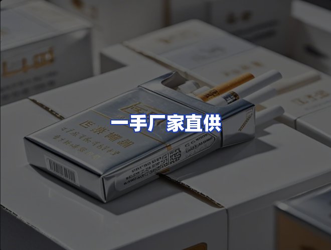 专业团队